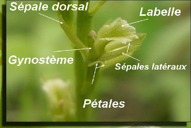 wp071266e2_0f.jpg