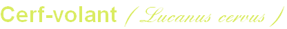 wp0d2b742b.png