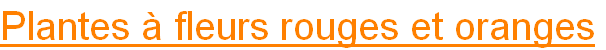 wp1300907c.png