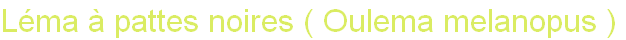 wp13c280fc.png