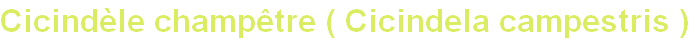 wp21de9122.png