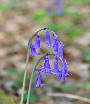 wp268567f9_0f.jpg