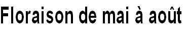 wp292d8ad7.png