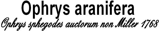 wp2ea2ca05.png