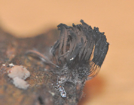 wp3048e77b_0f.jpg