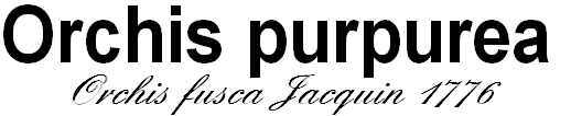wp347c83de.png