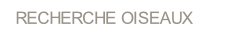 wp34d9b357.png