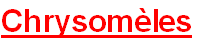 wp34e93d8d.png