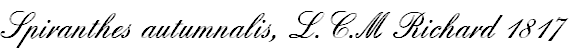 wp37c8d9a7.png