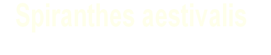 wp3a7b98be.png