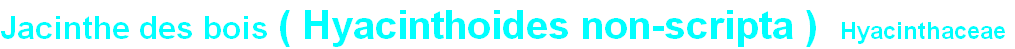 wp3d88bdd9.png