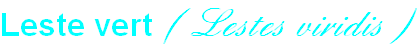 wp3d992a0e.png
