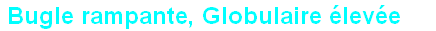 wp4405a825.png