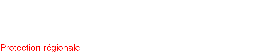 wp48f3edfd.png