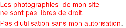 wp4f1b9884.png