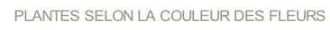 wp4f9f56c9.png