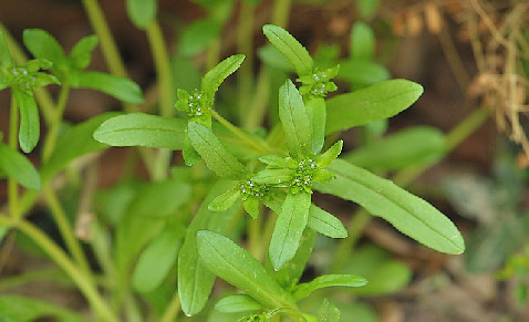 wp5442f756_0f.jpg