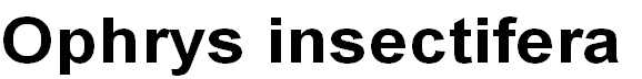 wp5477932e.png