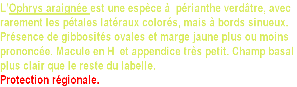 wp5cf7af8a.png