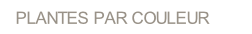 wp5d944231.png