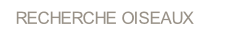 wp63a632e4.png