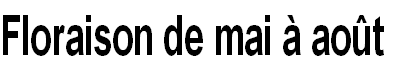 wp6ab047e7.png