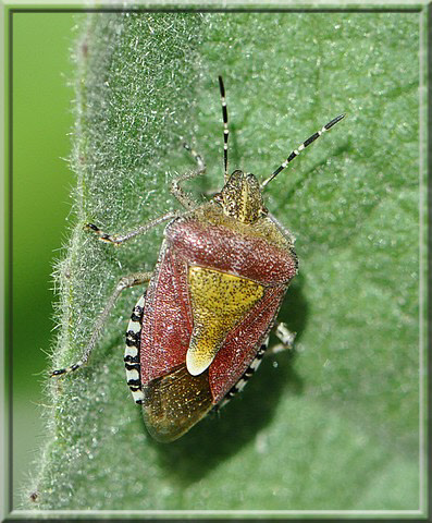 wp6d911e77_0f.jpg