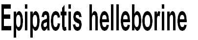 wp707f9994.png