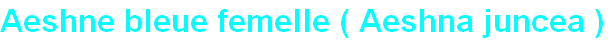 wp7118e5d2.png