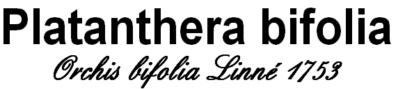 wp72b99ba7.png