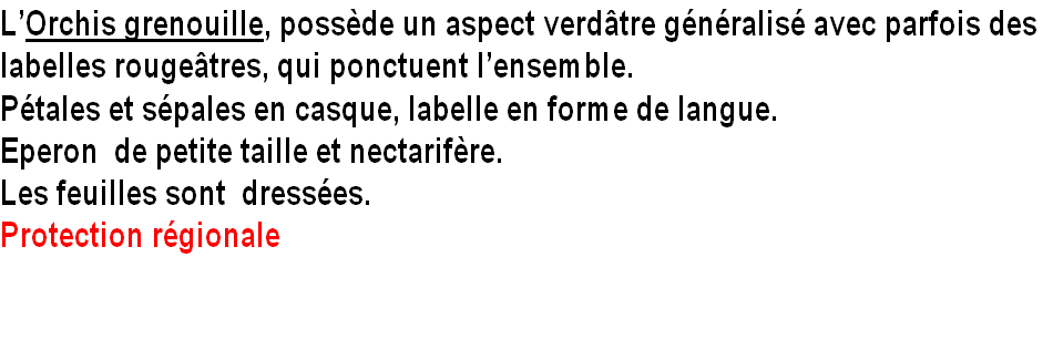 wp755c400c.png