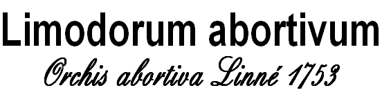 wp761b3e7c.png