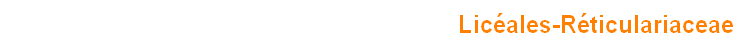 wp7ad11bbc.png