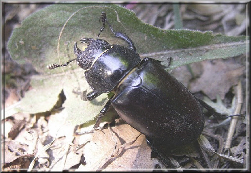 wp7c1c2ebb_0f.jpg