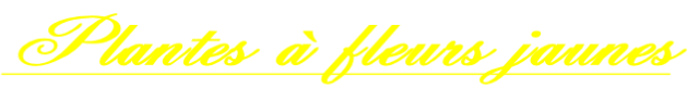 wp7f22438a.png
