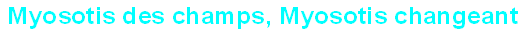 wp83be6058.png
