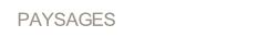 wp8d5d4b7a.png