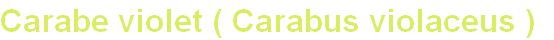 wp90c12822.png