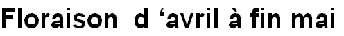wp91edf9e9.png