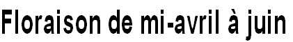 wp93e763e0.png