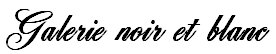 wp981c9690.png