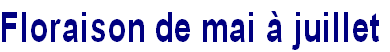 wp98793fb1.png