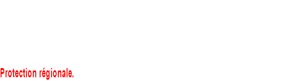 wp9c7727c0.png