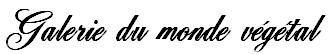 wpa56cf5f9.png