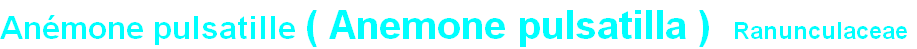 wpa8364ee5.png