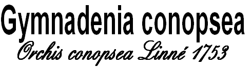 wpa9269548.png