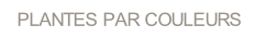 wpab4c8cc3.png