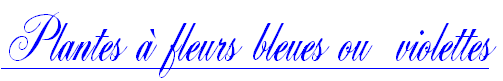 wpafdfc1fc.png