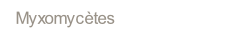 wpb5a334fc.png