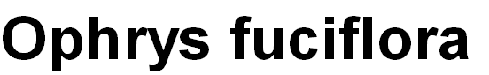 wpb6ed1b05.png